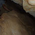 Galeria 13