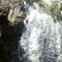 Tot Natura Galeria 03